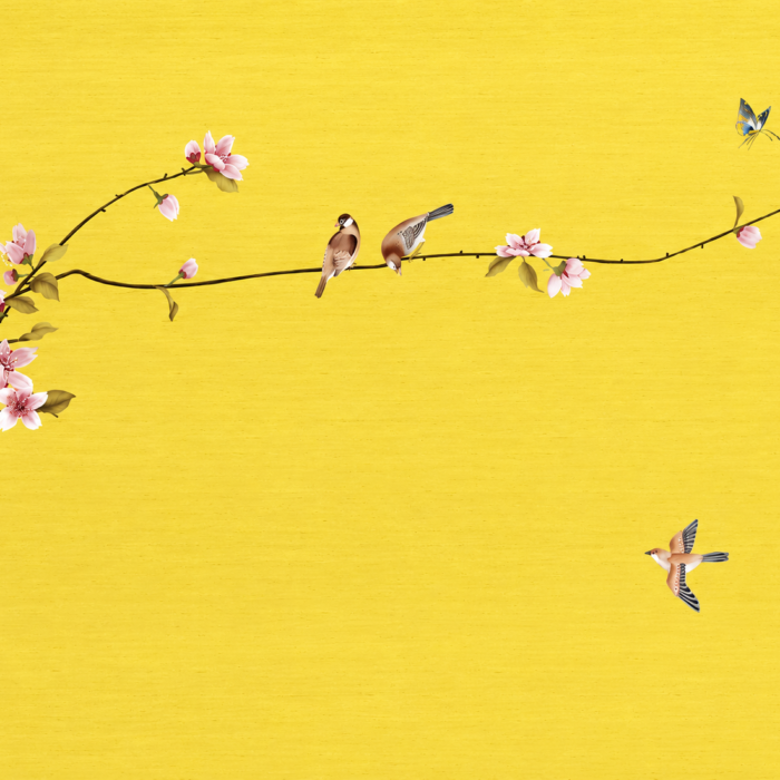 Golden Sakura Songbird Custom Wall Mural